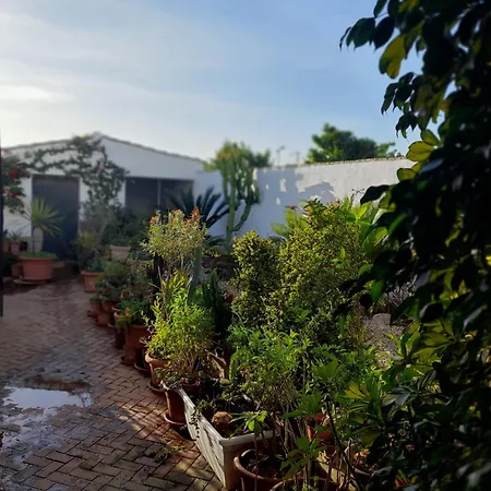 Preciosa Casa En Conil Holiday home